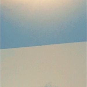 Meet your Posher, Jane